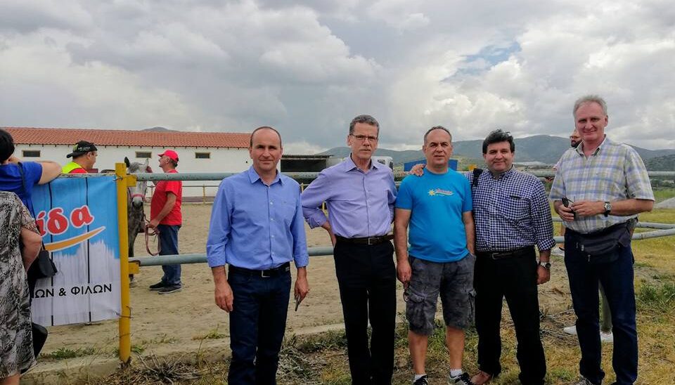 Η Ηλιαχτίδα στον Ιππικό Όμιλο