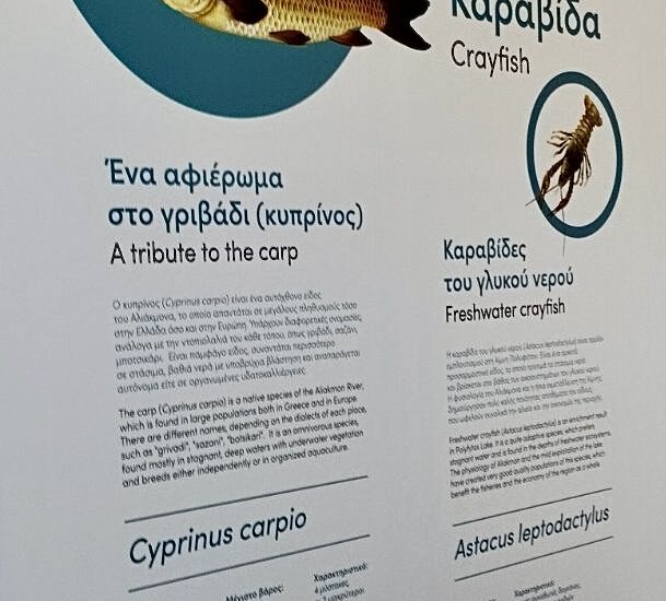 Η νέα δημοτική αρχή “γνωρίζει” το δήμο και τα έργα του.1