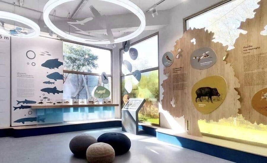 Παγκόσμια Ημέρα Περιβάλλοντος 1