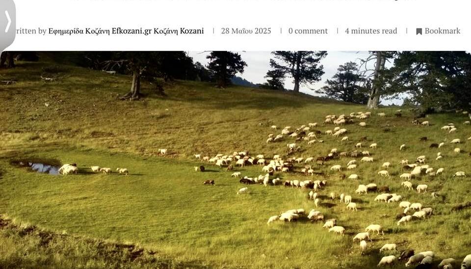 Τώρα δικαιώνονται! – ΟΠΕΚΕΠΕ