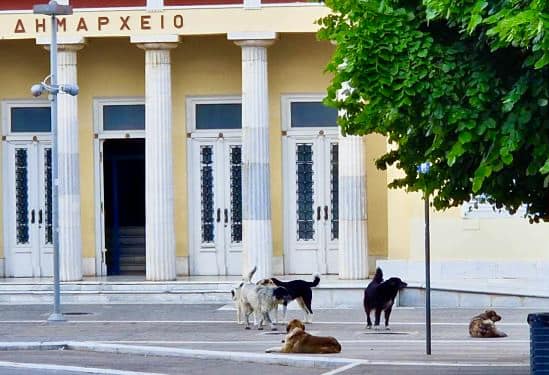 “Απολογισμός” πεπραγμένων χωρίς Αποτύπωμα – Η δημοτική αρχή Κοζάνης στον "αυτόματο πιλότο", χωρίς όραμα και χωρίς διεκδικήσεις