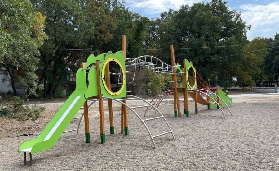 Το δάσος Κουρί μας «ξανασυστήνεται»