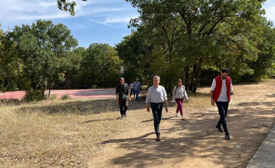 Το δάσος Κουρί μας «ξανασυστήνεται»