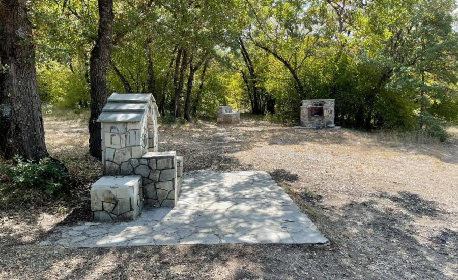 Το δάσος Κουρί μας «ξανασυστήνεται»