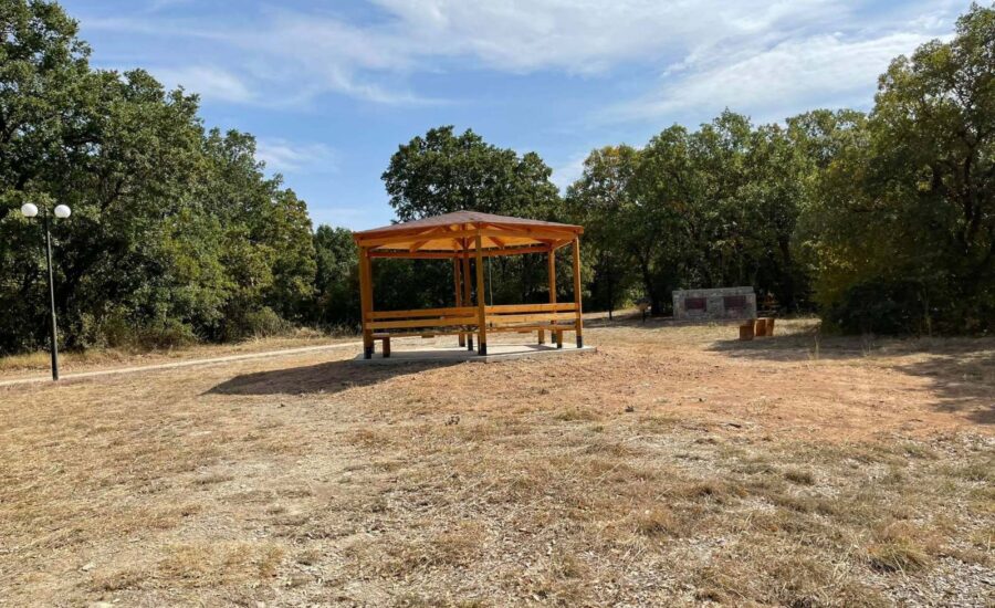 Το δάσος Κουρί μας «ξανασυστήνεται»