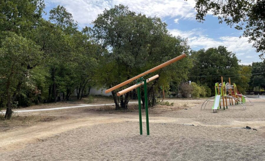 Το δάσος Κουρί μας «ξανασυστήνεται»