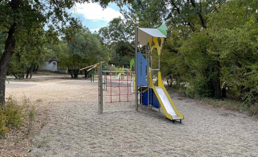 Το δάσος Κουρί μας «ξανασυστήνεται»