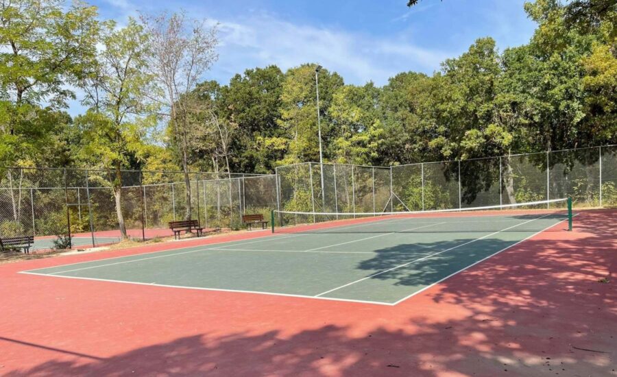 Το δάσος Κουρί μας «ξανασυστήνεται»