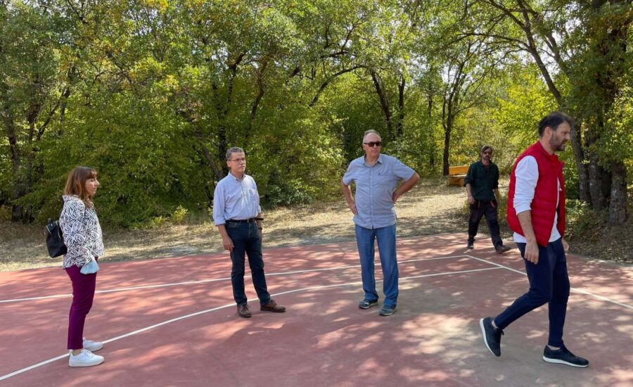 Το δάσος Κουρί μας «ξανασυστήνεται»