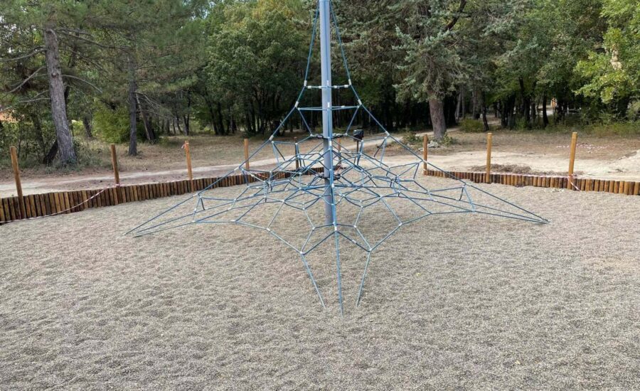 Το δάσος Κουρί μας «ξανασυστήνεται»