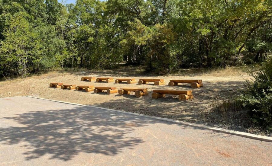 Το δάσος Κουρί μας «ξανασυστήνεται»