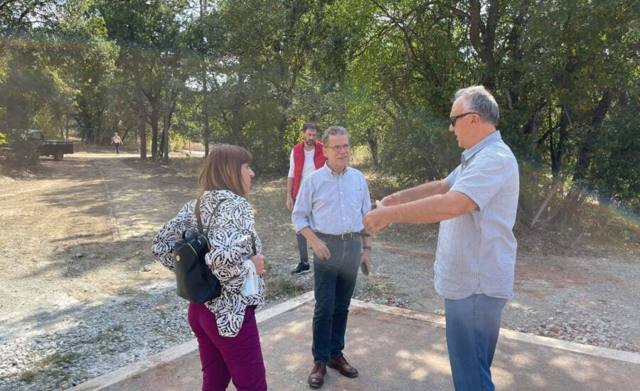 Το δάσος Κουρί μας «ξανασυστήνεται»